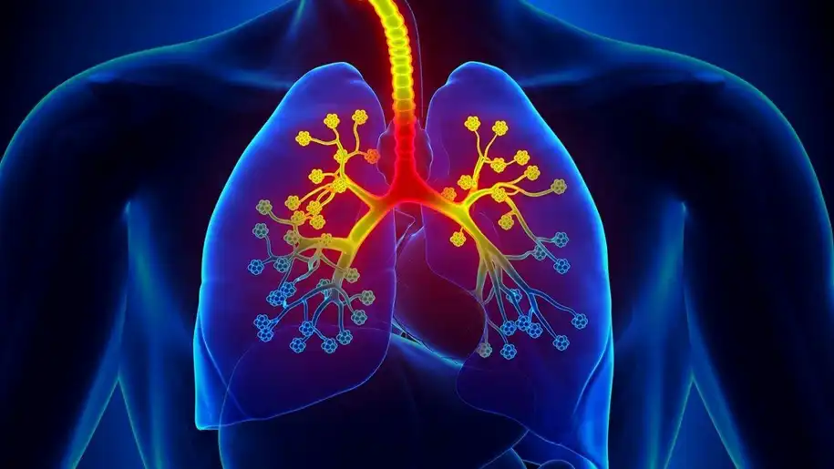 نقش حیاتی دستگاه تصفیه هوا در زندگی بیماران تنفسی!